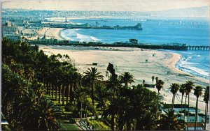 USA California Santa Monica Ocean Avenue Vintage Postcard C163