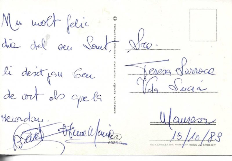 Two cats on a red cushion Modern Spanish photo postcard 1970s