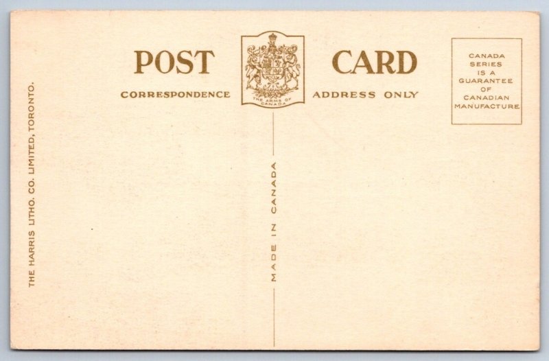 Rainbow Bridge & Niagara Falls From Canada, Antique Harris Litho Co. Postcard #2