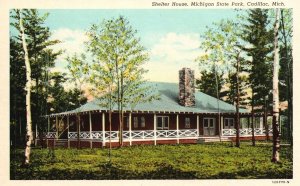 Vintage Postcard Shelter House Michigan State Park Cadillac Michigan C.T.A. Pub.