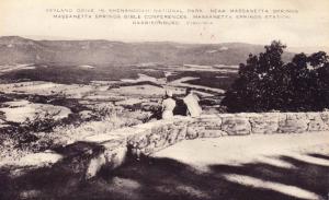 Skyland Drive Shenandoah Natl Park, Massanetta Springs VA Vintage Postcard F17