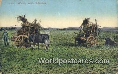 Gathering Cane Philippines Unused 