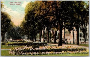 1910's Lynn Common Massachusetts Flower Garden Residential Houses Park Postcard