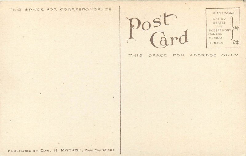 Mitchell Postcard 1875. Apricot, Large Fruit, Agriculture, Unposted