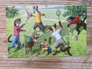 Mainzer Cats, Badminton Battle, 4891, Hartung, Belgium, Unused, Vintage Postc...