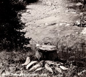 1940's RPPC Fishing Catch North Idaho ID Ross Hall Photo Postcard