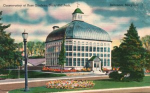 Vintage Postcard 1951 Conservatory at Rose Gardens Druid Hill Park Baltimore MD