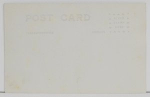 Pikes Peak from Colo. Springs, Colo. - Postcard