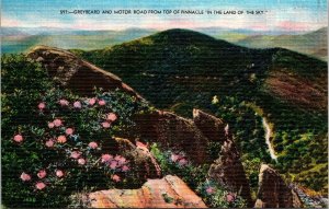 Greybeard Motor Road Top Pinnacle Land Sky Postcard VTG UNP Metrocraft Vintage