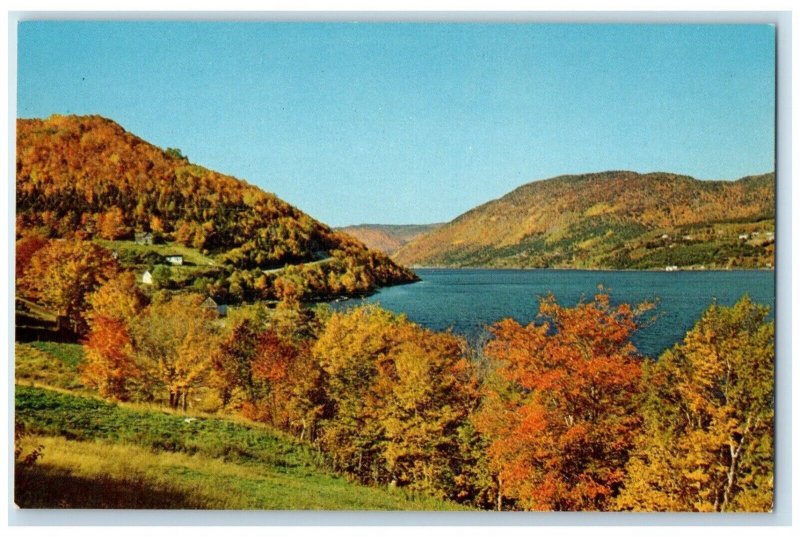 c1950's View Of Cape Brenton Nova Scotia Canada Unposted Vintage Postcard