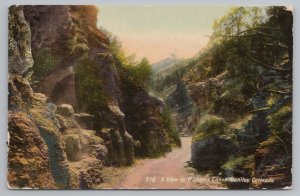 Manitou Colorado~Road Through Williams Canyon~Vintage Postcard 