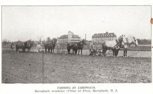 Vintage Postcard Farming Zarephath Academy Pillar of Fire Zarephath New Jersey