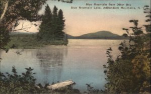 Blue Mountain Lake New York NY View from Otter Bay Vintage Postcard