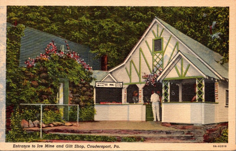 Pennsylvania Coudersport Entrance To Ice Mine and Gift Shop Curteich