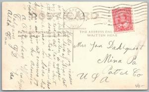 Alberta Canada Exajerado Pollos 1910 Antigüedad Real Foto Tarjeta Postal RPPC