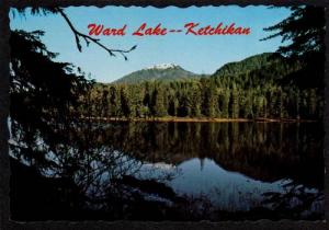 AK View of Ward Lake KETCHIKAN ALASKA PC Postcard