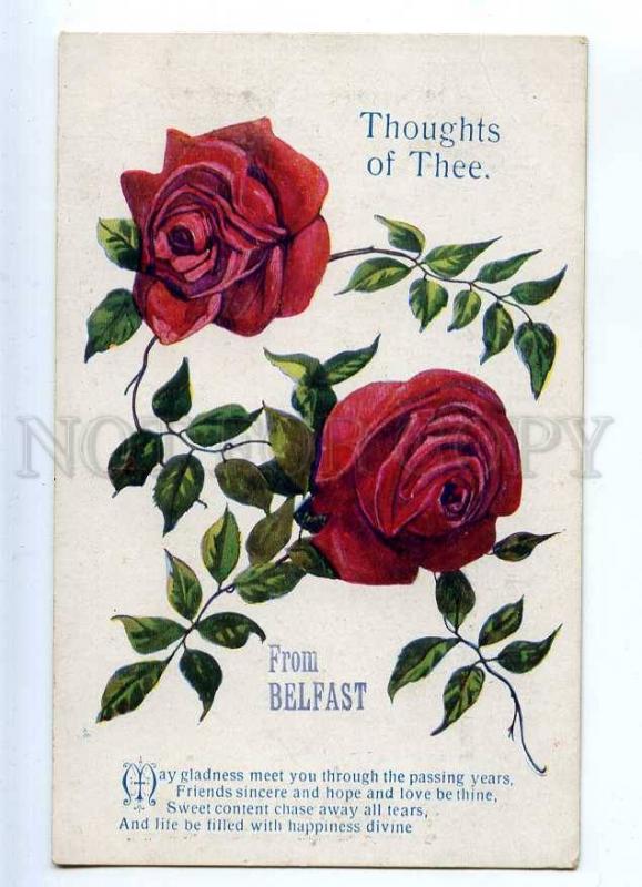 233351 ROSE Flowers THOUGHTS OF THEE From Belfast Vintage PC