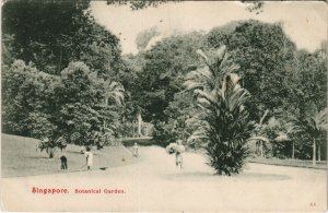 PC SINGAPORE, BOTANICAL GARDEN, Vintage Postcard (B42268)