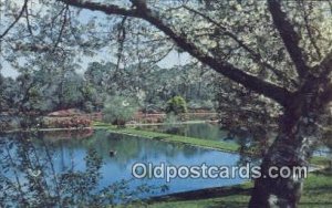 Fish Hatchery Ponds - Mobile, Alabama AL  