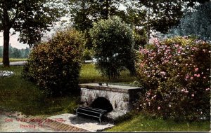 Pennsylvania Reading City Park Iron Water Spring 1909
