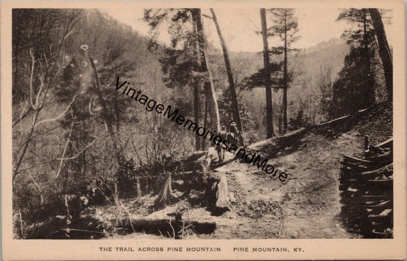 The Trail Across Pine Mountain Pine Mountain KY Postcard PC256
