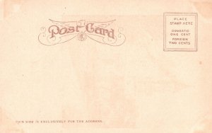 Vintage Postcard 1900's Old Cathedral St. Augustine Florida FL