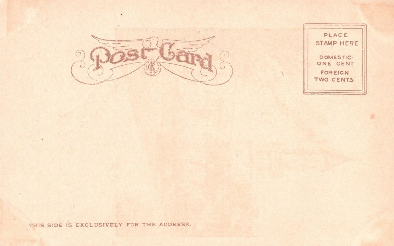 Vintage Postcard 1900's Old Cathedral St. Augustine Florida FL