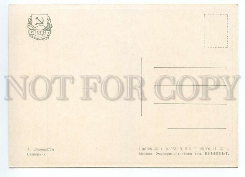 153699 Brazil Shoemaker by Bianshetti Old postcard