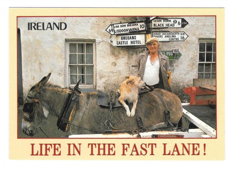 Ireland Life in the Fast Lane Mule John Hinde Postcard 4X6