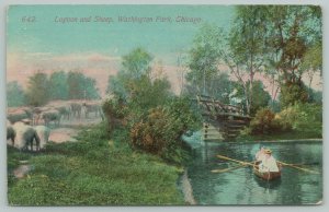 Chicago Illinois~Washington Park Lagoon & Sheep~c1910 Postcard
