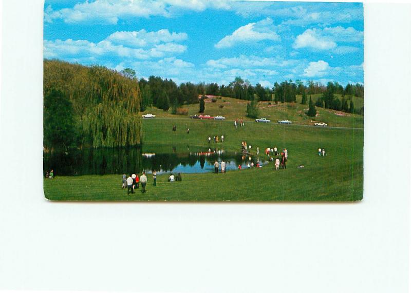 Postcard  Michigan Tipton Michigan state University Hidden Lake Gardens  # 4559A