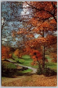 Vtg Greetings Flint Michigan MI Street View Country Road Autumn Scence Postcard