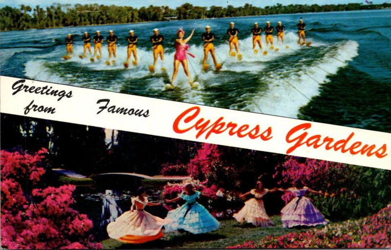 Florida Greetings From Cypress Gardens Showing Water Ski Show