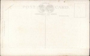 Banff Alberta Banff Hotel c1900s-20s Postcard