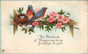 Vintage Postcard 1910's Blue Birds of Happiness Bring Greetings To You Flowers