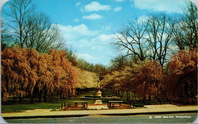 Vtg 1960s Josephine Fountain Memorial Brandywine Park Wilmington DE Postcard