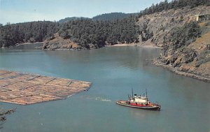 Log Raft and Tug Puget Sound, Washington, USA Unused 