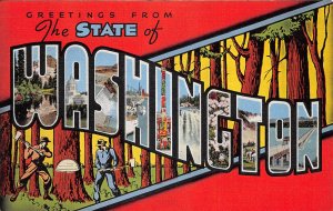 Washington, Greetings From The State of Washington, Large Letters, AA371-16