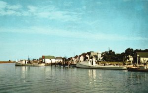 Postcard Greetings From Rhodes Point Oystering & Crabbing Smith Island Maryland