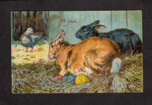 Happy Easter to You Rabbits Eggs Pigeon Postcard Carte Postale