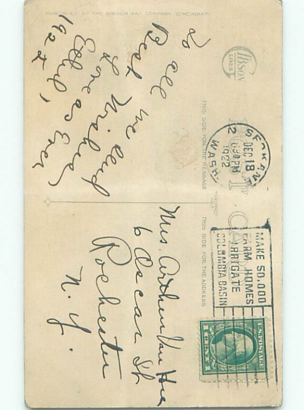 Divided-Back CHRISTMAS BIRDS SCENE Pretty Postcard W8552