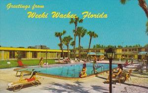 Florida Weeki Wachee Greetings From Weeki Wachee Holiday Inn With Pool