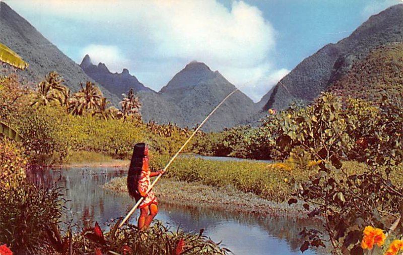 The Valley Tahiti Fiji Unused 