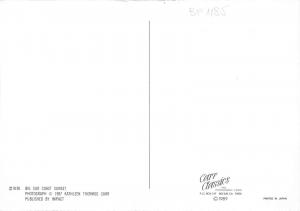 BF1185 big sur coast sunset  California