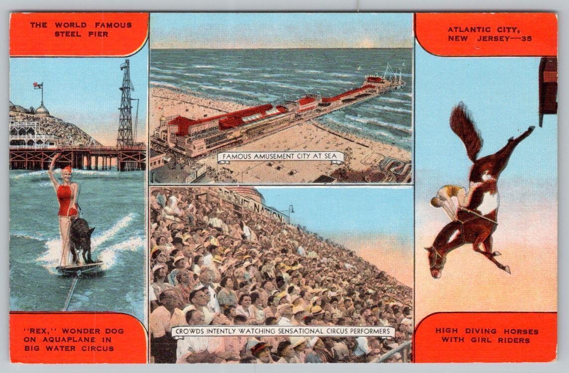 1940'S Steel Pier REX the Wonder DOG Waterskiing Diving Horse Atlantic City NJ United States