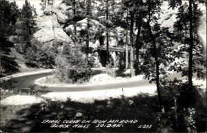 Black Hills South Dakota SD Iron Mountain Road Real Photo Vintage Postcard