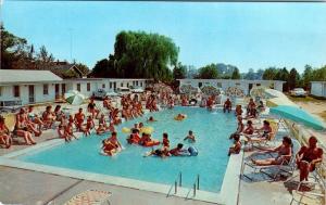 RIO GRANDE, New Jersey  NJ   Roadside POLLY'S MOTEL  Pool  ca 1960s    Postcard