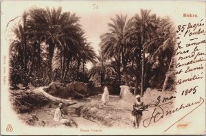 Algeria Biskra Dans l 'Oasis Vintage Postcard C166