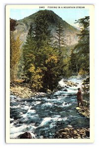 Fishing In A Mountain Stream Scenic Postcard