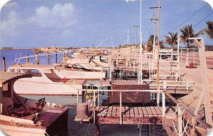 Fishing Fleet  Key West FL